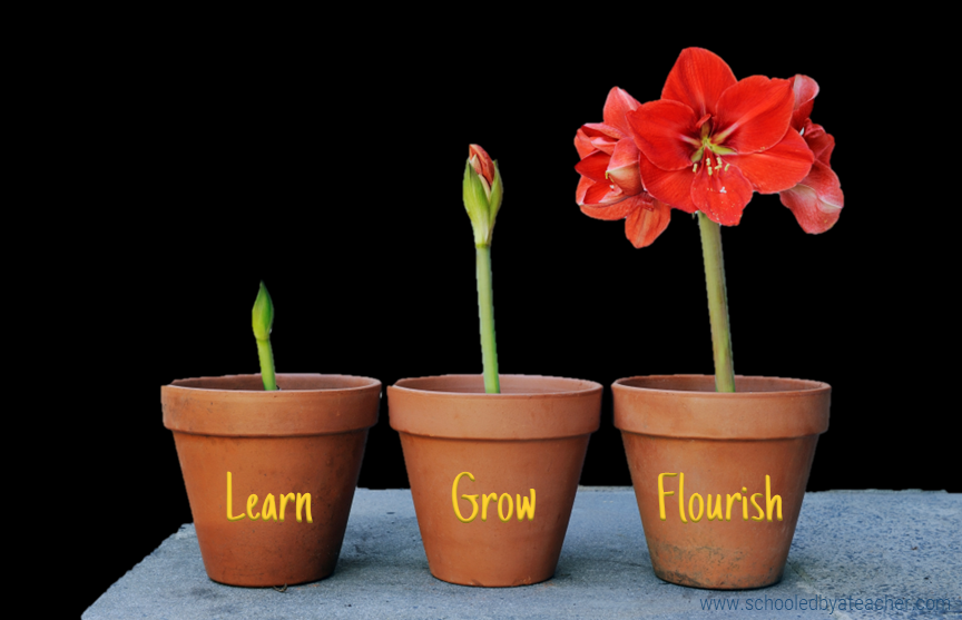 learn grow flourish